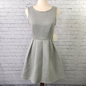 ALTAR’D STATE Skater Dress Striped sz M